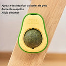 Bola de Catnip para Gatos Tipo Aguacate – Juguete Natural para Lamer, Limpiar y Entretener