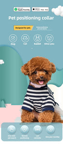 Rastreador GPS y Bluetooth para Mascotas – Collar Antipérdida con Mini Localizador de Movimiento para Perros, Gatos y Cachorros