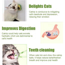 Bola de Catnip para Gatos Tipo Aguacate – Juguete Natural para Lamer, Limpiar y Entretener