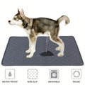 Tapete Higiénico Reutilizable y Lavable para Perros y Gatos – Alfombra Absorbente Impermeable para Entrenamiento y Protección de Muebles
