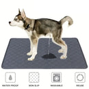 Tapete Higiénico Reutilizable y Lavable para Perros y Gatos – Alfombra Absorbente Impermeable para Entrenamiento y Protección de Muebles