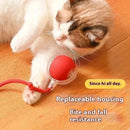 Pelota Eléctrica Interactiva con USB – Juguete Automático Inteligente para Gatos y Perros Pequeños