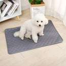 Tapete Higiénico Reutilizable y Lavable para Perros y Gatos – Alfombra Absorbente Impermeable para Entrenamiento y Protección de Muebles