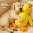 Juguete de Peluche Calmante para Perros – Pato con Sonido, Suave e Ideal para Dormir y Compañía