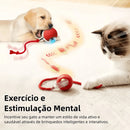 Pelota Eléctrica Interactiva con USB – Juguete Automático Inteligente para Gatos y Perros Pequeños